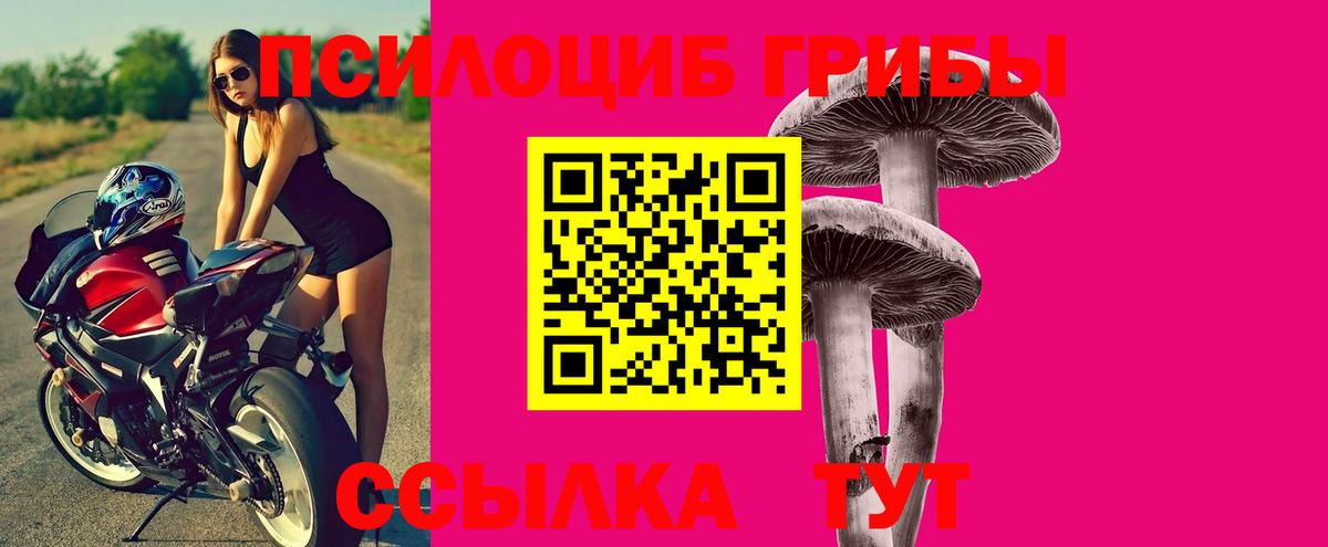 Галлюциногенные грибы MAGIC MUSHROOMS  Псилоцибиновые грибы Magic Shrooms  Вход с VPN  Кандалакша 