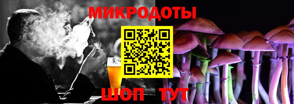 Псилоцибиновые грибы Cubensis Кандалакша